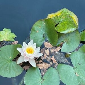 Meet your Posher, Theresa